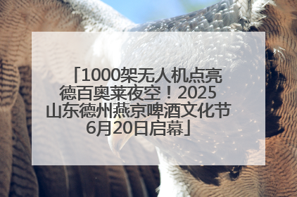 1000架无人机点亮德百奥莱夜空！2025山东德州燕京啤酒文化节6月20日启幕